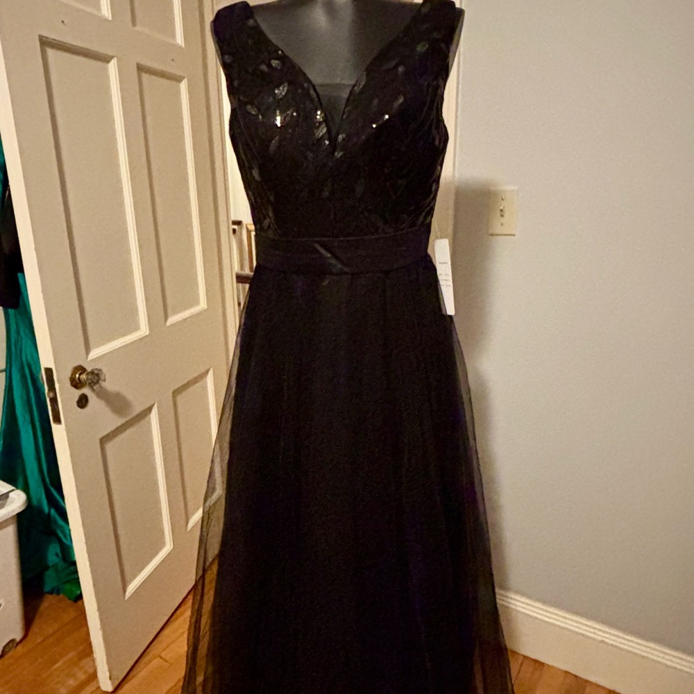 Chic Black Dress-ball gown style.